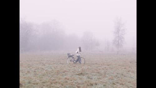 Vergissmeinnicht Bild 2