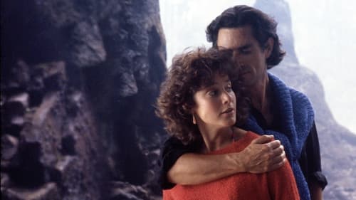 Die schwarze Witwe Bild 4