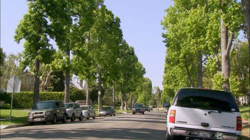 Ein Hund rettet Weihnachten Bild 4