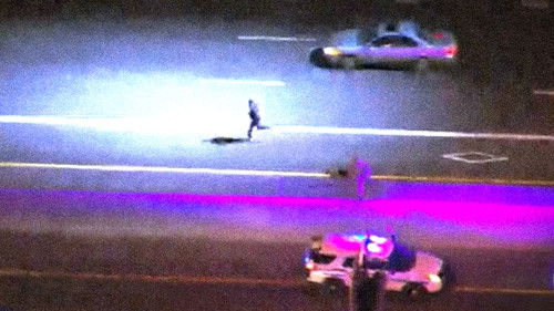 Live PD Presents: PD Cam Bild 4