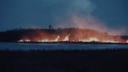 A Black Hole Near Kent County Bild 1