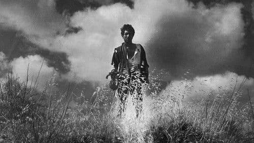 O Trigo e o Joio Bild 1