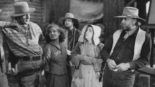 Fighting Caravans Bild 2