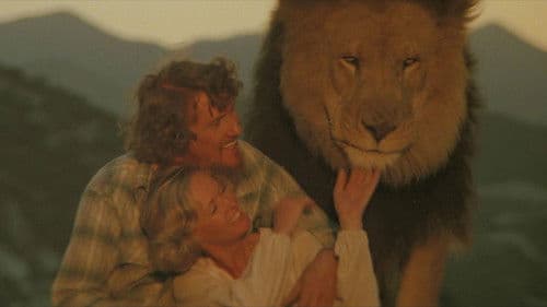 Roar - Die Löwen sind los Bild 6