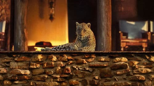 Das Jahr, das unsere Erde veränderte Bild 2