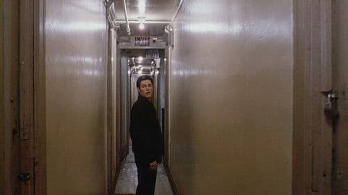 Light Sleeper Bild 8