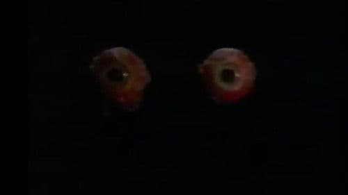 ผีตาโบ๋ Bild 3