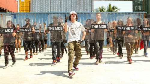 Step Up - Miami Heat Bild 7