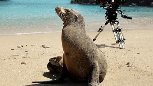 Guardians of the Galapagos Bild 1