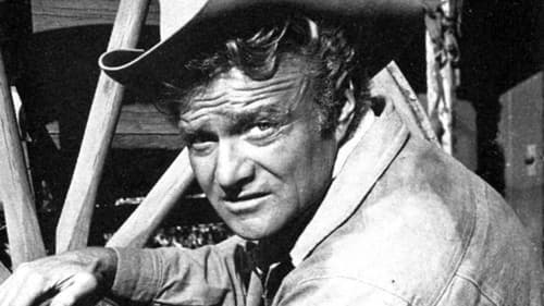 The Westerner Bild 3