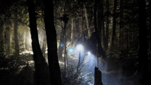 Before Dawn Bild 1