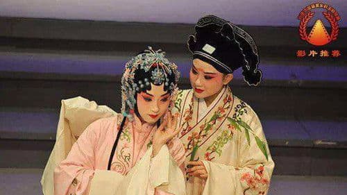 又见牡丹亭 Bild 1