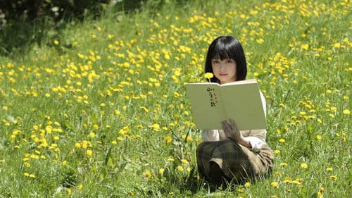 野のなななのか Bild 2