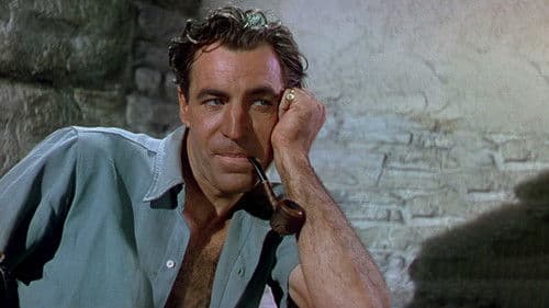 Die schwarze Narzisse Bild 6