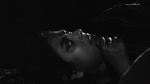 চিড়িয়াখানা Bild 3