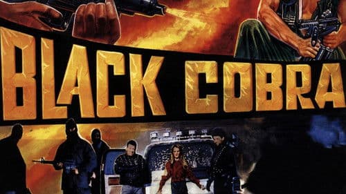 Black Cobra Bild 4