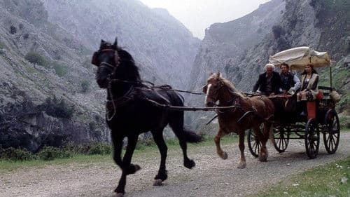 The Stone Raft Bild 2