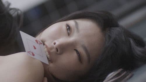 홀덤킹 : 에어라인 Bild 2