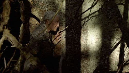 Das Sommerbuch Bild 5