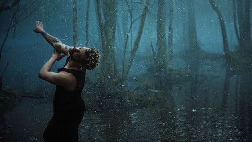 Dance Brothers Bild 5