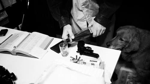 Harry : Portrait d’un détective privé Bild 5