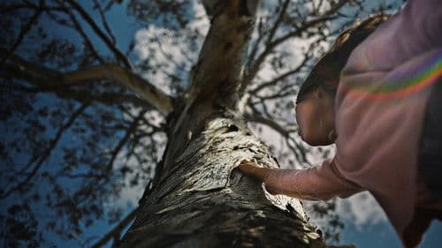 The Skeleton Tree Bild 1