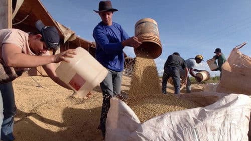 Ұлы дала зары Bild 6