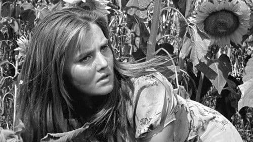 Italiani brava gente Bild 1