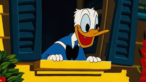 Der neue Nachbar Bild 4