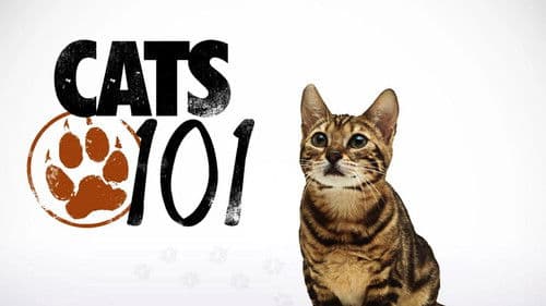 Das große Katzen-ABC Bild 2