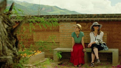 Apapacho, une caresse pour l'âme Bild 4