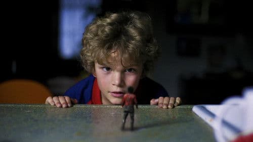 Der wunderbare Wiplala Bild 2