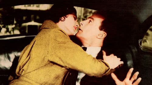 Vorwiegend Heiter Bild 7