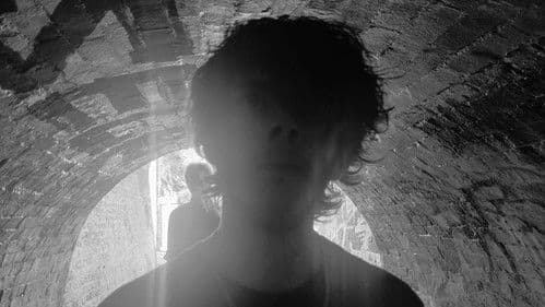 The Body Double Bild 2