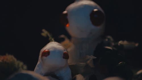 The Plant Boy Bild 6