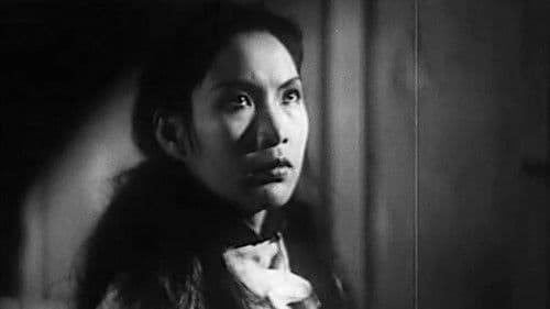 Song at Midnight Bild 3