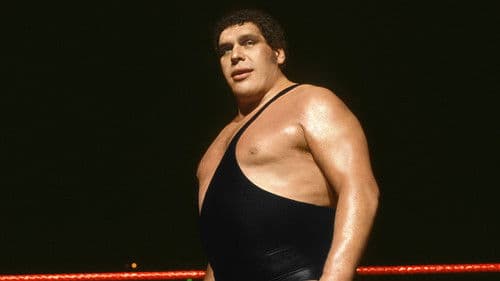 Andre the Giant Bild 8