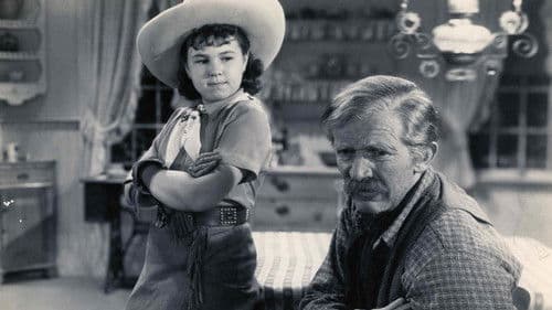 Wild and Woolly Bild 1