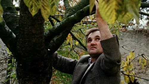 Land des Schweigens und der Dunkelheit Bild 4