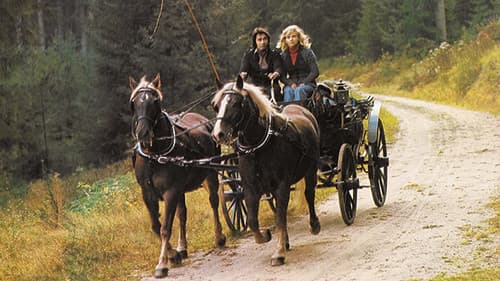 Schwarzwaldfahrt aus Liebeskummer Bild 1