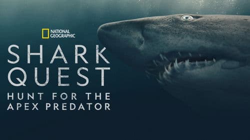 Shark Quest: Hunt For The Apex Predator Bild 4
