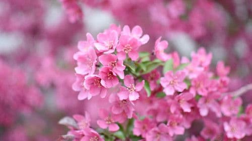 Catching The Bus Bild 4