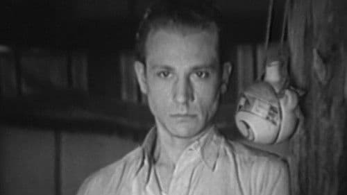 The Irish Gringo Bild 1