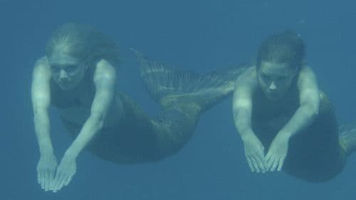 H2O - Plötzlich Meerjungfrau, Spielfilm 1 Bild 4