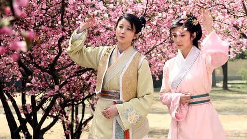 孔雀东南飞 Bild 2