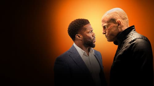 The Man from Toronto Bild 2