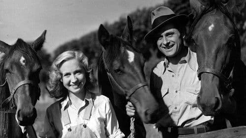 De røde heste Bild 5