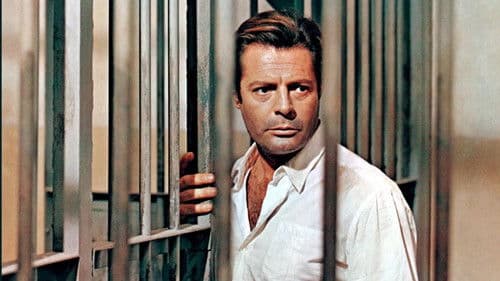 Marcello Mastroianni, irrésistiblement libre Bild 8