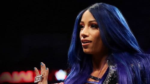 WWE Chronicle Bild 3