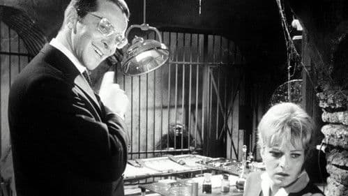 Die Tür mit den sieben Schlössern Bild 6